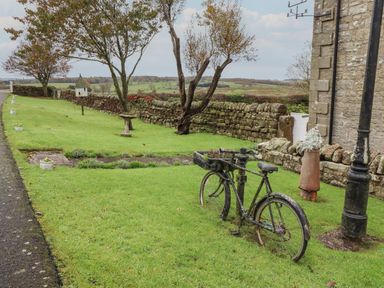 A garden with a rusty bicycle used as a planter and stone wall with trees at High Shaftoe in Ponteland