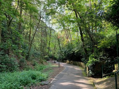 A paved path through a wooded area with trees and bushes and a bench along the path at The Gables Penthouse in Bournemouth