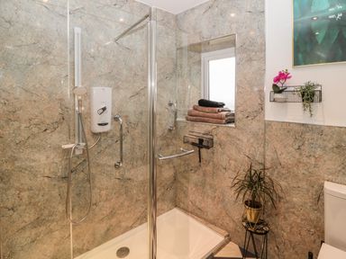 A bathroom with a walk-in shower towels on a window ledge a small plant on a stand and a toilet at Tyne View Cottage in Bellingham