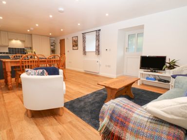 A living room with a white armchair wooden dining table and chairs a small wooden coffee table and a tv on a stand at The Byre in Carrshield near Allendale