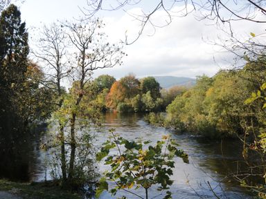 A river flowing through trees with some autumn colors and hills in the background at Coorie In Aberfeldy
