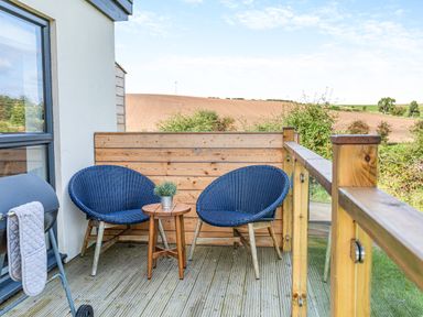 An outdoor balcony with two blue chairs a small wooden table with a plant and a barbecue grill at Shearwater Lodge in Bamburgh