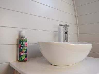 A white sink with a silver faucet and a bottle of hand wash on a countertop in a bathroom at Maple in Wootton Fitzpaine near Charmouth
