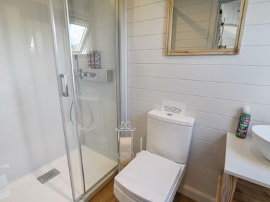 A bathroom with a shower enclosure a toilet and a sink with a hand wash bottle at Maple in Wootton Fitzpaine near Charmouth