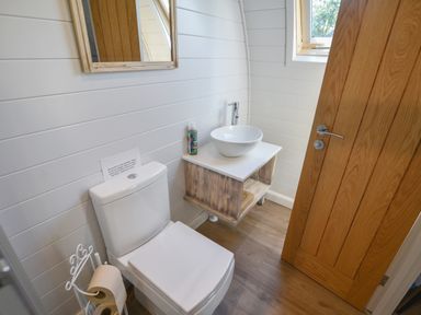 A bathroom with a toilet, a sink on a wooden cabinet, a mirror, a wooden door, and a window at Maple in Wootton Fitzpaine near Charmouth