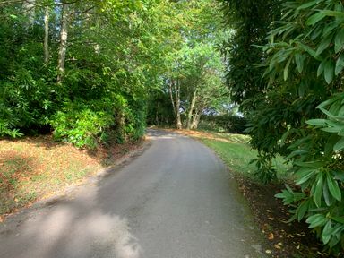 A paved road curving through a green wooded area with grass and trees at The Hideaway in Uplyme near Lyme Regis