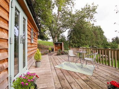 A wooden deck with a small table and two chairs a potted plant and flowers near a wooden house at Chateau Petit in Trefeglwys
