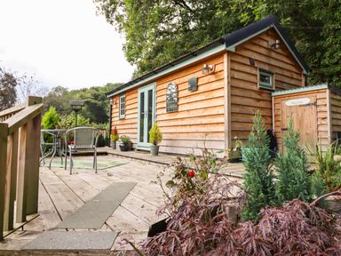 A wooden cabin with a small deck and outdoor seating surrounded by plants at Chateau Petit in Trefeglwys