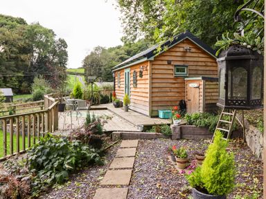A wooden cabin with a small deck and outdoor furniture surrounded by plants and trees at Chateau Petit in Trefeglwys