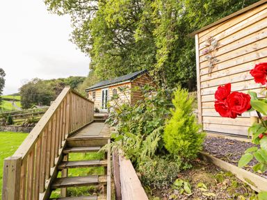 A wooden bridge over grass leading to a small wooden cabin with plants and red flowers nearby at Chateau Petit in Trefeglwys