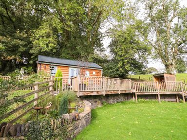 A wooden cabin with a deck surrounded by trees and grass at Chateau Petit in Trefeglwys