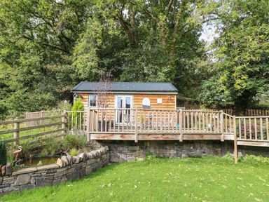 A small wooden cabin with a deck surrounded by trees and a stone wall with a pond at Chateau Petit in Trefeglwys
