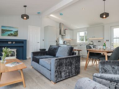 An open living room and kitchen with blue velvet sofas a wooden coffee table and dining table at Buttercup Lodge Norton near Dartmouth