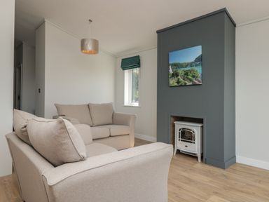A living room with two beige sofas a gray fireplace with a white stove and a window with a green blind at Primrose Lodge in Norton near Dartmouth