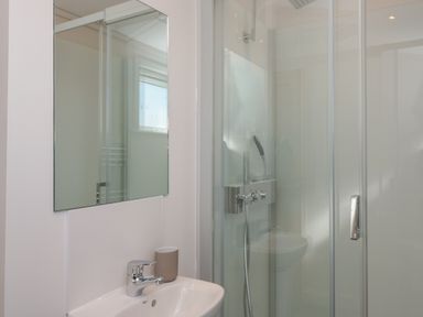 A bathroom with a sink a mirror and a glass shower enclosure at Primrose Lodge in Norton near Dartmouth