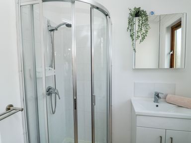 A bathroom with a shower enclosure sink unit with faucet mirror cabinet window and a potted plant at Serenity Sunset in Ilfracombe
