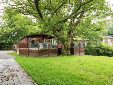 A wooden cabin with an outdoor seating area and a large tree on a grassy lawn at Tranquil Waters Lakeside 16 White Cross Bay near Windermere