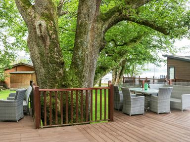An outdoor wooden deck with wicker chairs and a glass table around a large tree at Tranquil Waters in Lakeside 16 White Cross Bay near Windermere