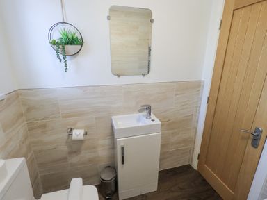 A bathroom with a toilet sink cabinet wall mirror hanging plant and wooden door at Tranquil Waters Lakeside 16 White Cross Bay near Windermere