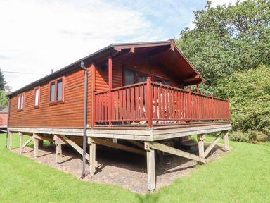A wooden cabin on stilts with a covered porch and railing surrounded by grass and trees at Teign River Retreat in Drewsteignton near Moretonhampstead