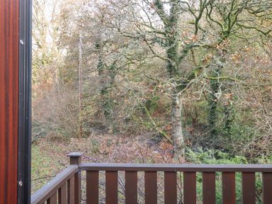 A wooden balcony railing overlooking trees and dense woodland at Teign River Retreat in Drewsteignton near Moretonhampstead