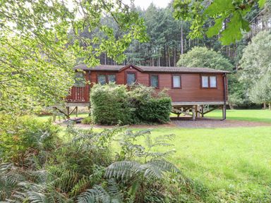 A wooden cabin on stilts surrounded by grass trees and forest at Teign River Retreat in Drewsteignton near Moretonhampstead