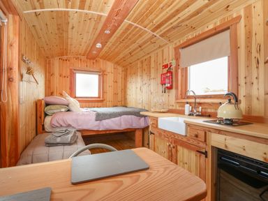 A small wooden room with a bed pillows and blankets a kitchen sink stovetop kettle and a table at Hafan Gelli Sheperds Hut - Enlli in Pwllheli