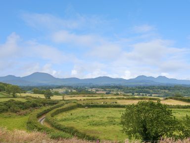 Green fields with a winding path and cows with mountains in the background at Hafan Gelli Sheperds Hut - Enlli in Pwllheli