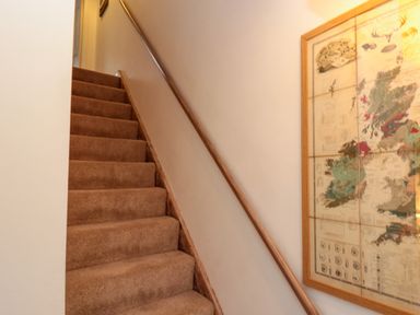 A carpeted staircase with a wooden handrail and a framed map on the wall at Shell Seeker Cottage in Sewerby