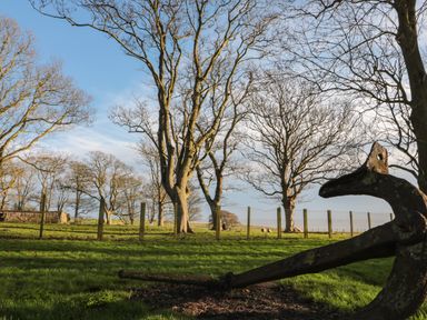 A grassy field with leafless trees a rusty anchor and a wooden shed in the background at Shell Seeker Cottage in Sewerby