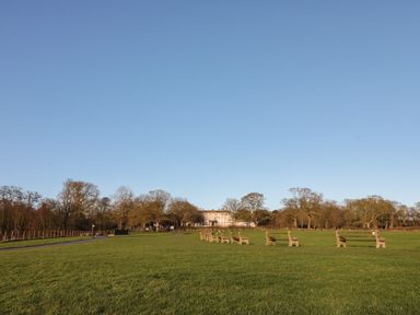 A large open grassy field with benches arranged in rows and a building in the background surrounded by trees at Shell Seeker Cottage in Sewerby