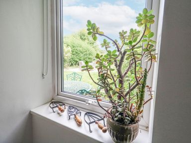 A windowsill with three vintage kitchen tools and a potted succulent plant with a garden view outside at Mermaid Cottage in Wakeham Portland