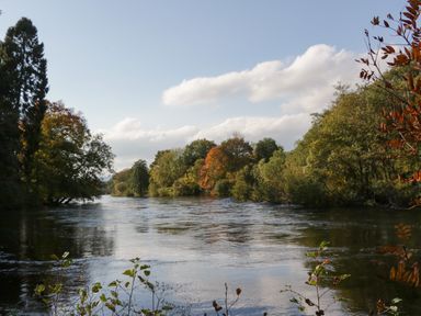 A river flowing with trees and bushes on both sides under a cloudy sky at Osprey View Lodge & Hot Tub in Aberfeldy