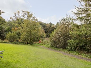 A grassy area with trees and bushes and a narrow dirt path with a lifebuoy in the background at 10 Waters Edge in Morpeth near Felton
