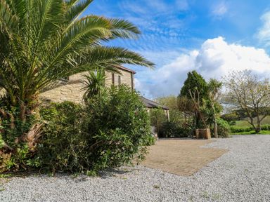 An outdoor area with palm trees shrubs gravel ground and a stone building at The Granary in Prussia Cove near Rosudgeon