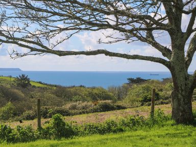 A coastal landscape with a tree branch in the foreground overlooking the sea at The Granary Prussia Cove near Rosudgeon
