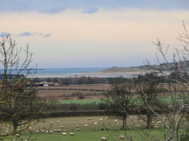 A rural landscape with sheep grazing on green fields and a body of water in the distance at Kits Cottage in Middleton near Belford