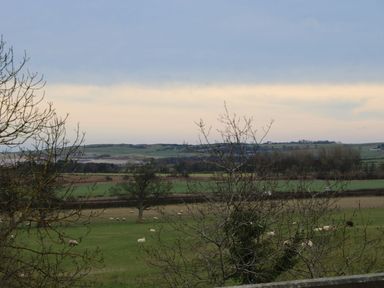 A rural landscape with fields trees and sheep grazing at Kits Cottage in Middleton near Belford