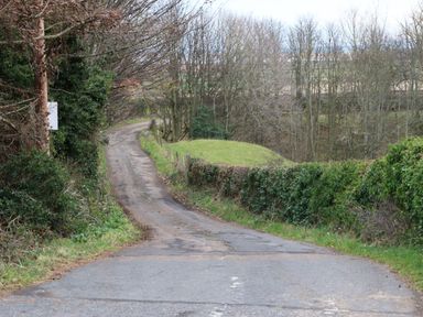 A narrow road curving through a wooded area with hedges and grass at Kits Cottage in Middleton near Belford