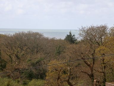 A view of trees with bare branches and some green foliage with the sea in the background at Y Goedlan in Tywyn