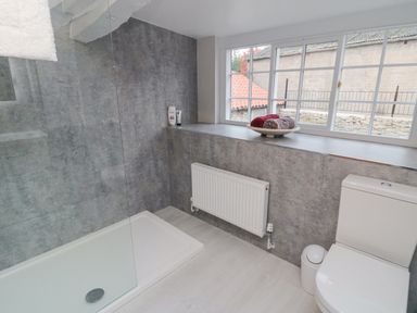 A bathroom with a shower area toilet radiator and window at York House in Thornton Dale