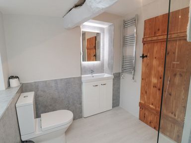 A bathroom with a toilet a sink under a mirror a heated towel rack and a wooden door at York House in Thornton Dale