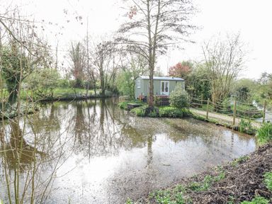 A small green hut near a pond surrounded by trees and plants at Damsel Shepherds Hut in Badwell Ash
