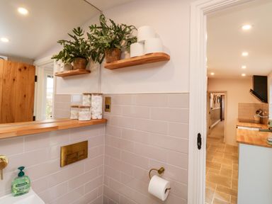 A bathroom with shelves holding plants and toilet paper and a view into a kitchen at Pilchard Cottage in Dawlish