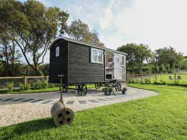 A shepherds hut with stairs on a gravel path in a grassy garden at Dragonfly Shepherd's Hut in Oakford near Aberaeron