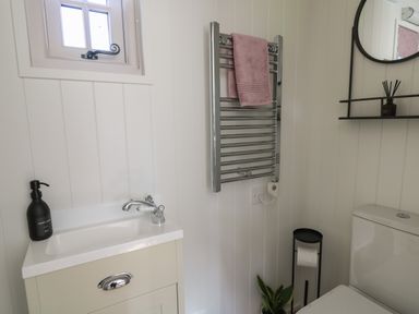 A bathroom with a sink cabinet and soap dispenser towel on a heated towel rail toilet paper holder plant and round mirror at Dragonfly Shepherd's Hut in Oakford near Aberaeron