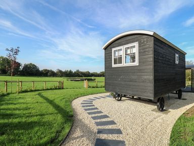 A black shepherd's hut on wheels beside a gravel path with stepping stones in a grassy field at Dragonfly Shepherd's Hut in Oakford near Aberaeron