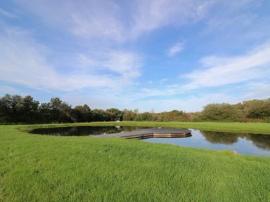 A circular pond with a wooden deck surrounded by grass and trees under a blue sky