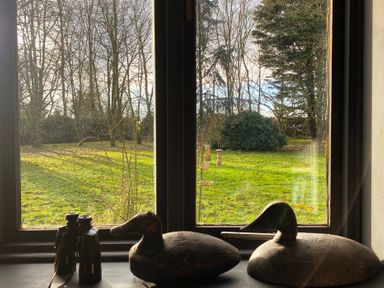 A window with binoculars and two wooden duck decoys on the windowsill overlooking a garden with trees and bird feeders at Rivendell in Weybread near Harleston