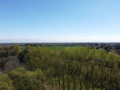A landscape with trees and green fields under a clear blue sky at Rivendell in Weybread near Harleston